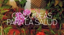 Orquídeas para la salud